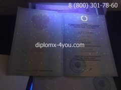 Диплом бакалавра 2012-2013 годов с заполнением-4